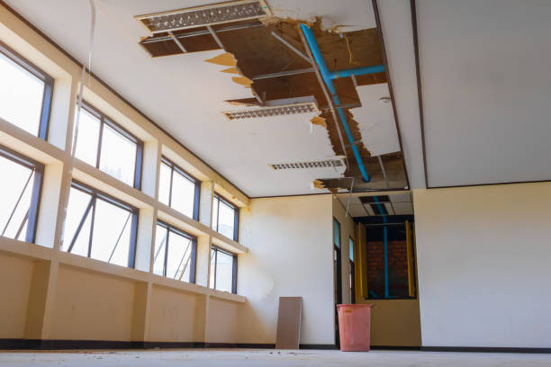 Best Professional water damage repair  in Creston, OH
