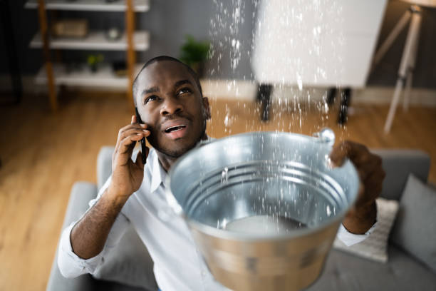 Best Flooded house restoration  in Creston, OH