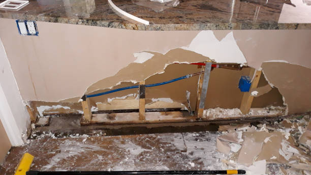 Best Basement water damage restoration  in Creston, OH