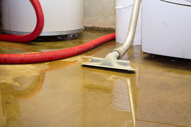 Best Water damage cleanup near me  in Creston, OH