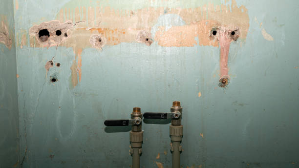 Best 24/7 water damage repair  in Creston, OH